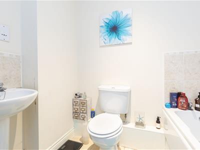 Picture 21